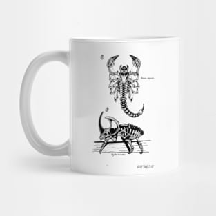 Insect Skeletons Mug